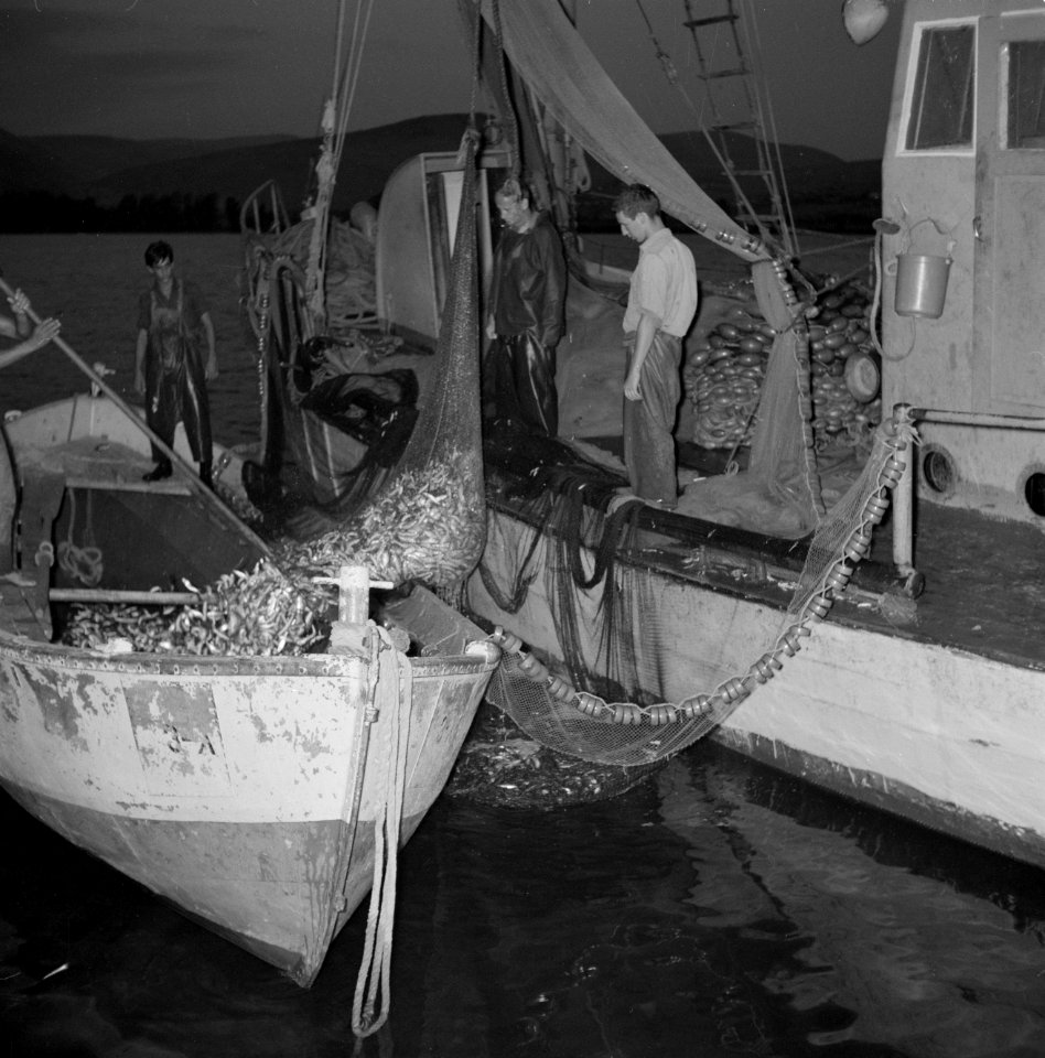 Met sardines gevulde visnetten worden binnen boord gehaald, Bestanddeelnr 255-2878