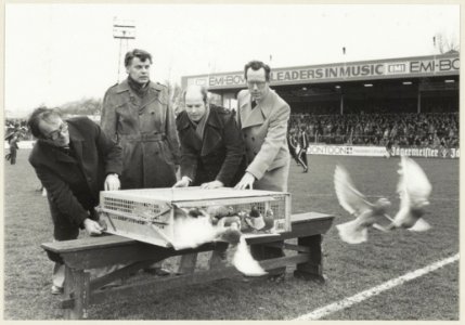 Met het loslaten van een aantal duiven wordt de nieuwe staan-zittribune op het terrein van H.F.C. Haarlem geopend. NL-HlmNHA 54004885