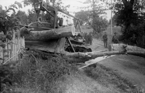Met groot materieel wordt een boom van de weg gesleept, Bestanddeelnr 11673