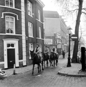 Met paarden door de Jordaan, Bestanddeelnr 926-8027
