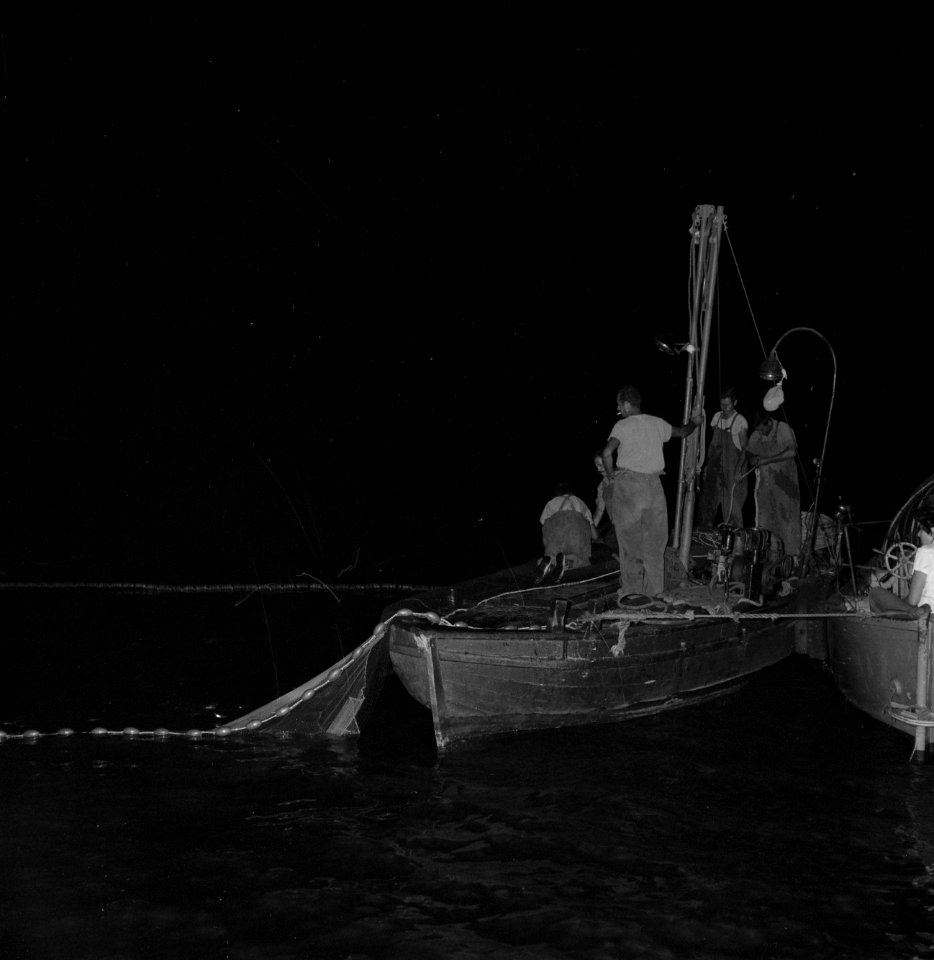 Met sardines gevulde visnetten staan op het punt opgehesen te worden, Bestanddeelnr 255-2873