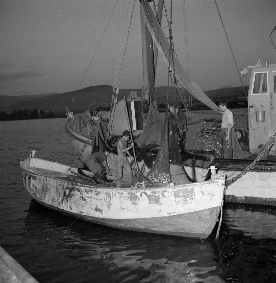 Met sardines gevulde visnetten worden binnen boord gehaald, Bestanddeelnr 255-2877