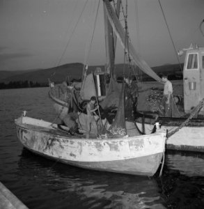 Met sardines gevulde visnetten worden binnen boord gehaald, Bestanddeelnr 255-2877 photo
