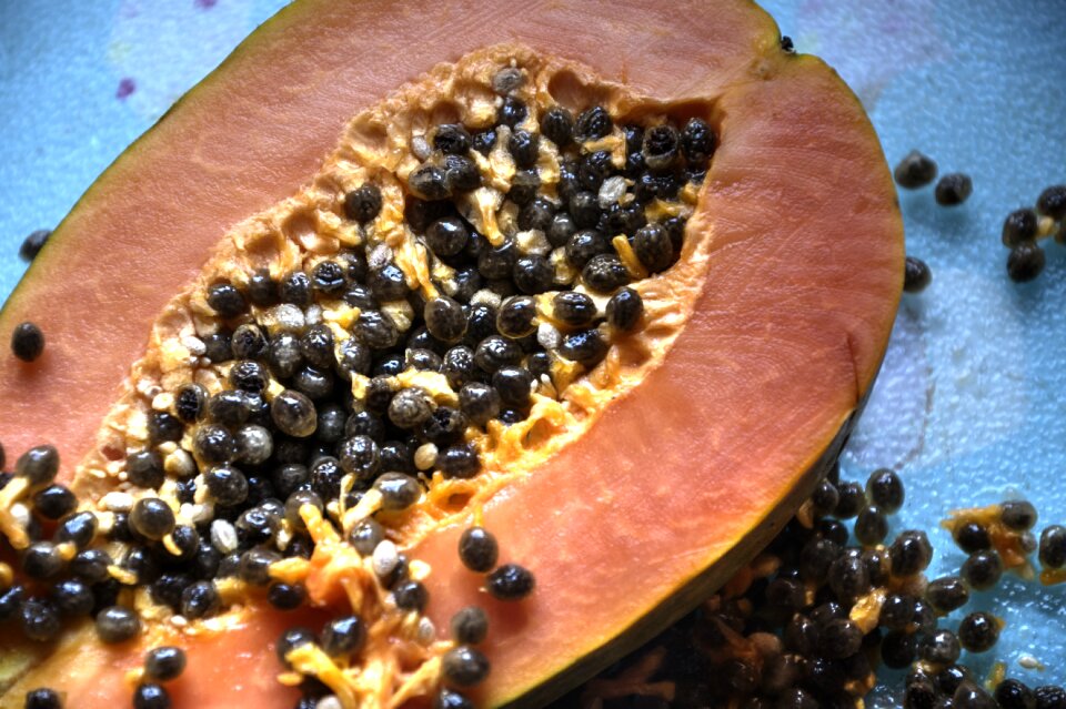 Fruit healthy pips
