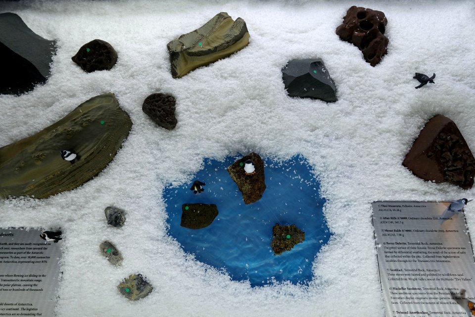 Meteorites from cold deserts - Center for Meteorite Studies - Arizona State University - Tempe, AZ - DSC05762