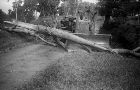 Met groot materieel wordt een boom van de weg gesleept, Bestanddeelnr 11674