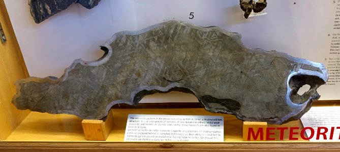 Meteorite slab with Widmanstätten pattern, found in New Mexico in 1896, 12 kg, iron-nickel alloy - Redpath Museum - McGill University - Montreal, Canada - DSC07886