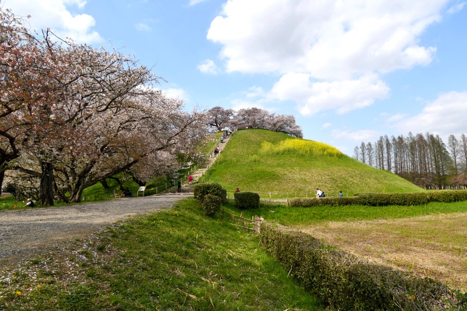 Maruhakayama Kofun, funkyu-2