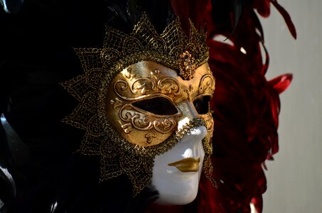 Carnival mask panel