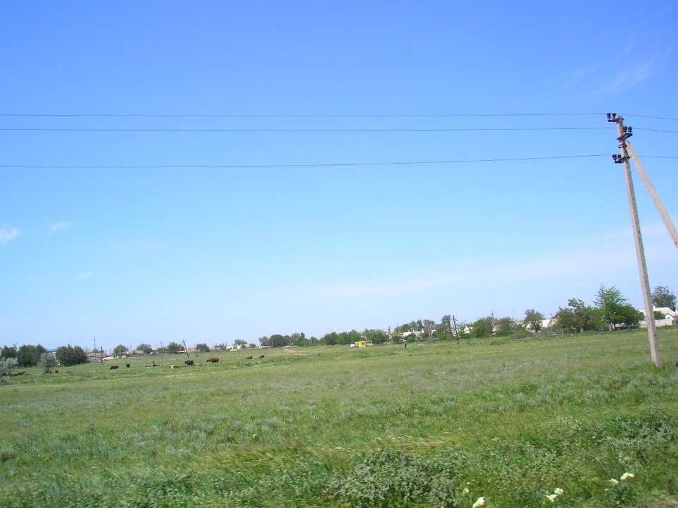 MaslovoCr 11