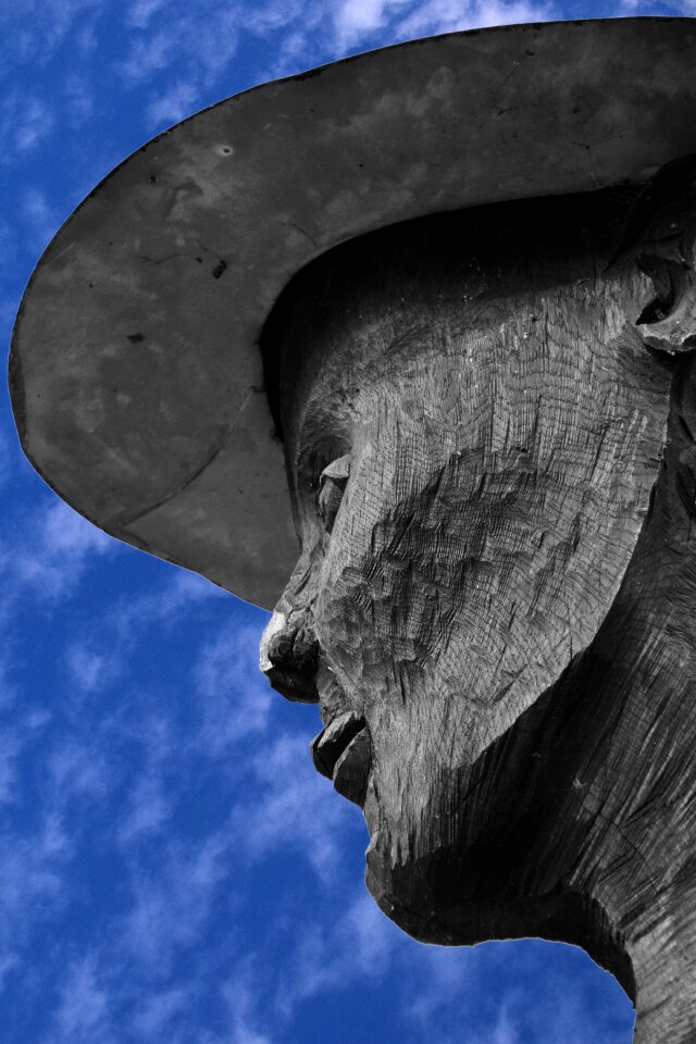 Face human wood
