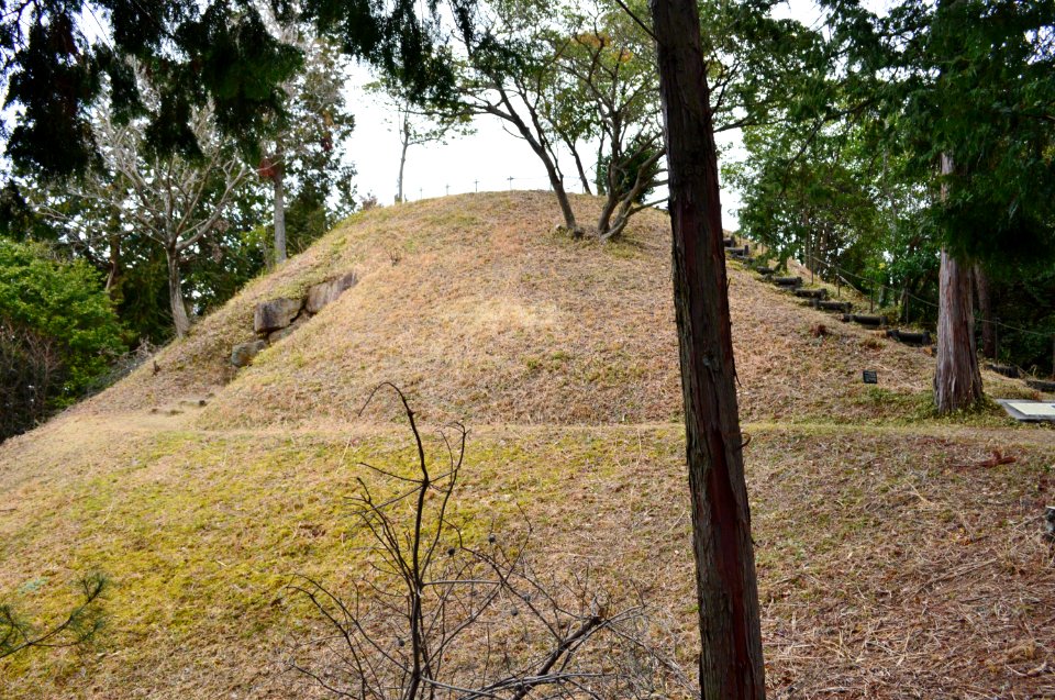 Maruyama Kofun (Yasu), funkyu