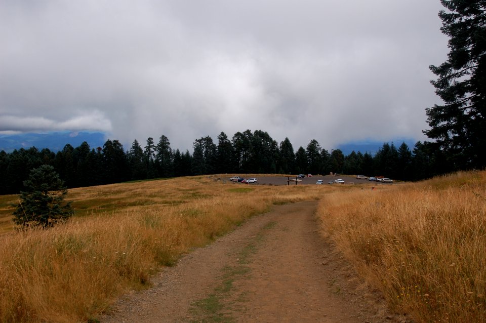 Mary's Peak Parking Lot