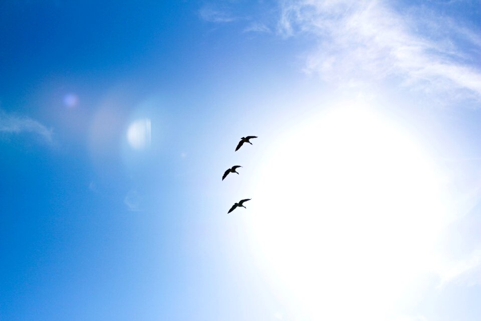 Blue sky clear sky peaceful