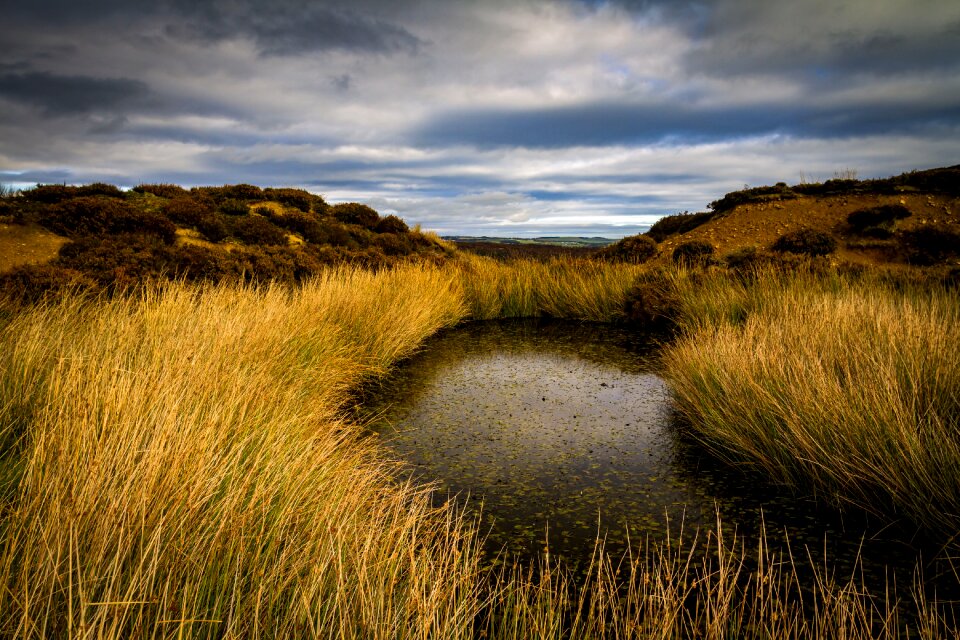 Landscape water scene