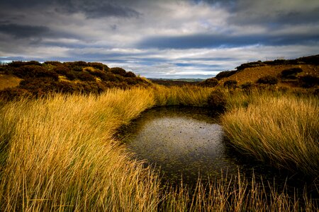 Landscape water scene photo