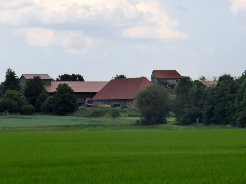 Martinsbüttel
