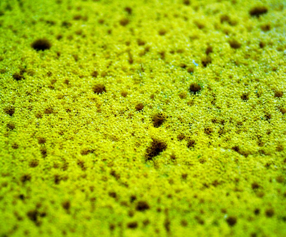 Bathing clean cleaning sponge