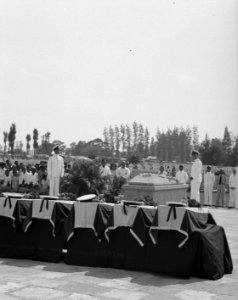 Marvo negatief, Bestanddeelnr 904-3207