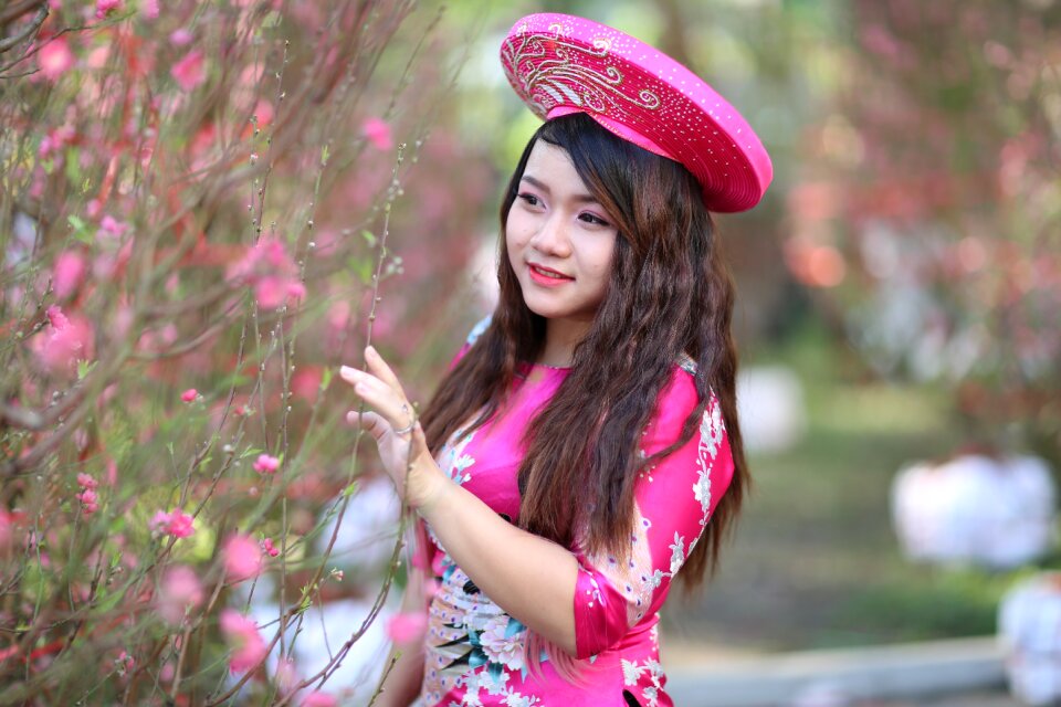 Flower spring cherry