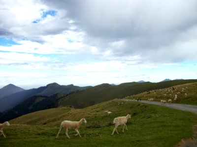 Massif de la Barousse 04