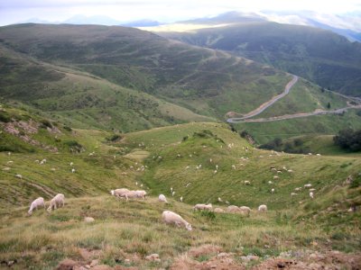 Massif de la Barousse 17