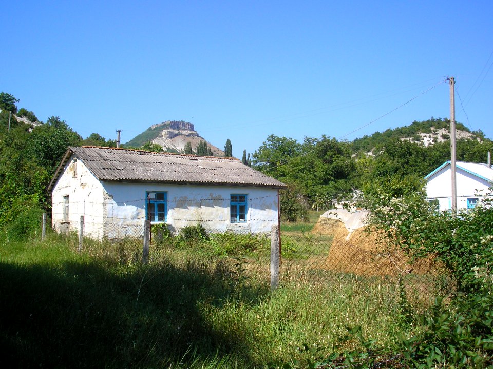 Mashino 0