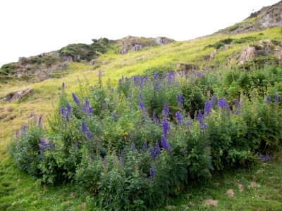Massif de la Barousse 20