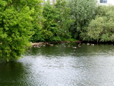 Maselakebucht 2019-07-07 03