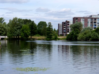 Maselakebucht 2019-07-04 04