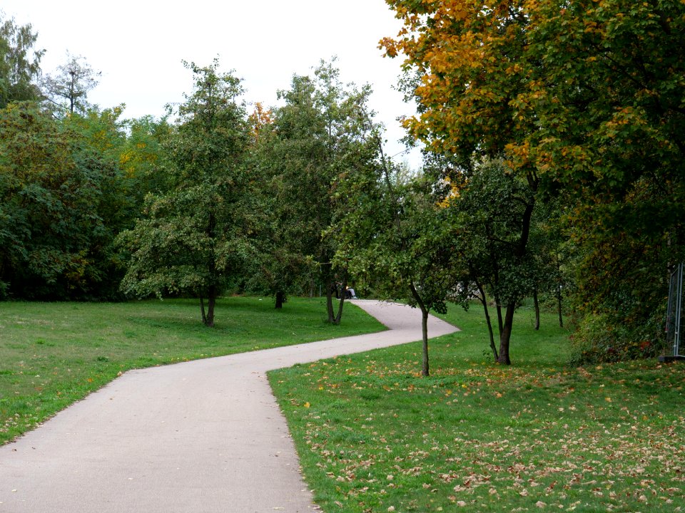 Maselakepark 2019-10-18 13