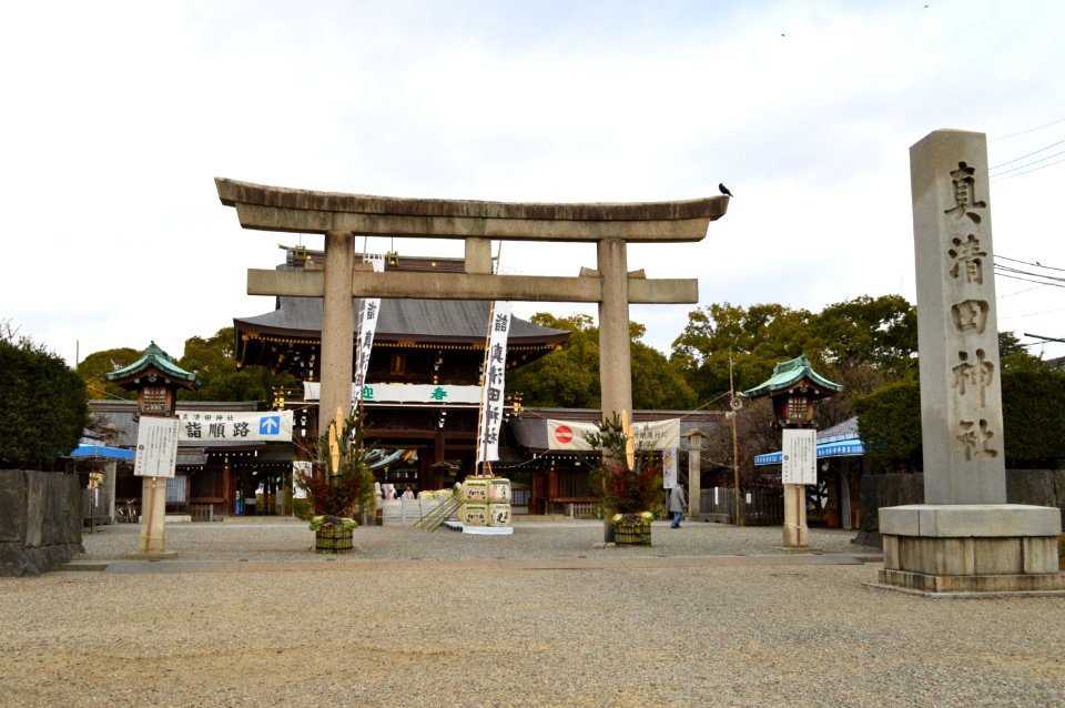 Masumida-jinja (Ichinomiya) torii