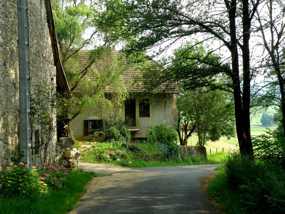 Massignieu-de-Rives Sillins 3