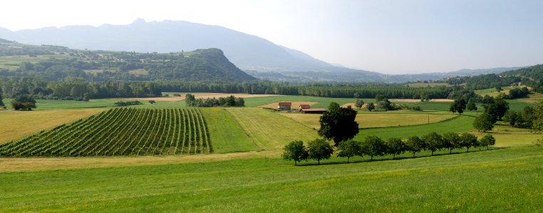 Massignieu-de-Rives Vers Saint-Romain 1
