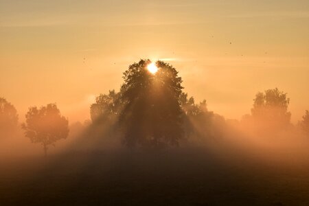 Fog mysthisch beautiful photo