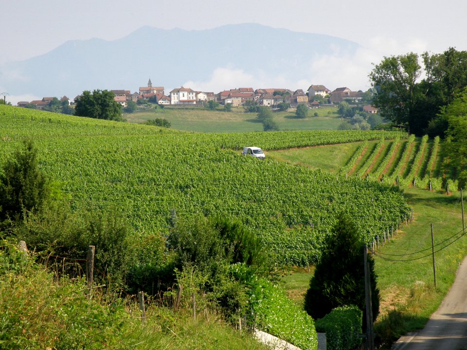 Massignieu-de-Rives Vue générale 14