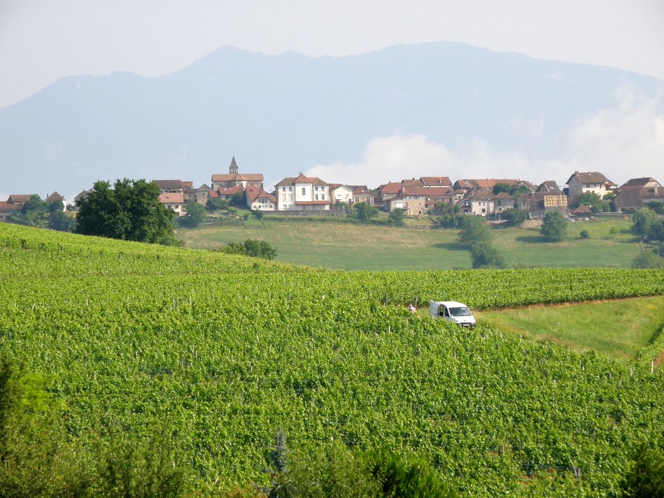 Massignieu-de-Rives Vue générale 13