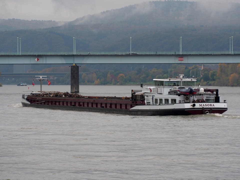 Masora, ENI 02324479 on the Rhine river at Koblenz, pic4