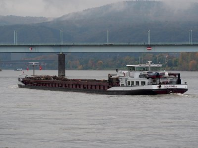 Masora, ENI 02324479 on the Rhine river at Koblenz, pic4
