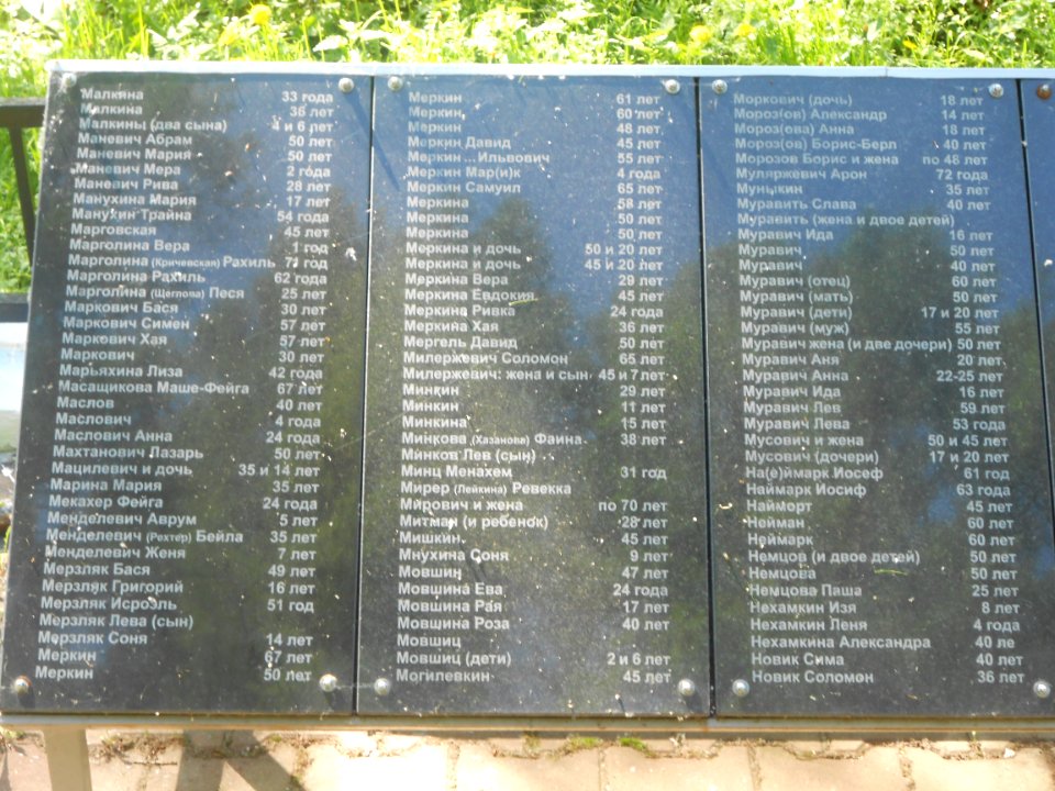 Mass grave 3000 in Vyazovenka - 09