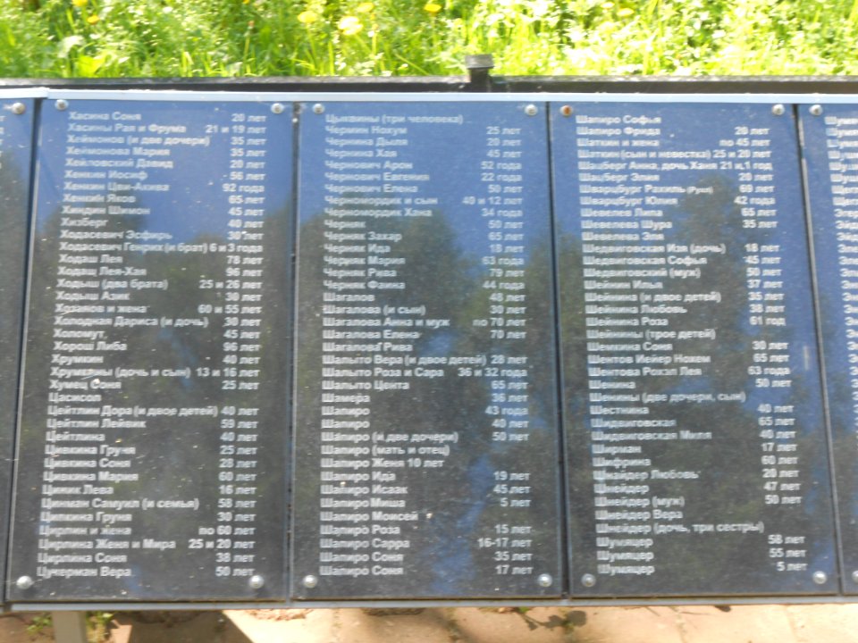 Mass grave 3000 in Vyazovenka - 13