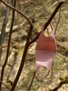 Mask hung on tree, Trillium Trail photo
