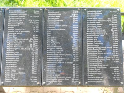 Mass grave 3000 in Vyazovenka - 08
