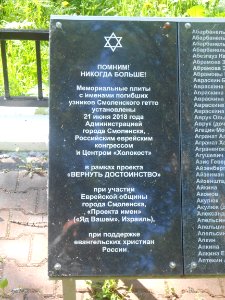 Mass grave 3000 in Vyazovenka - 03