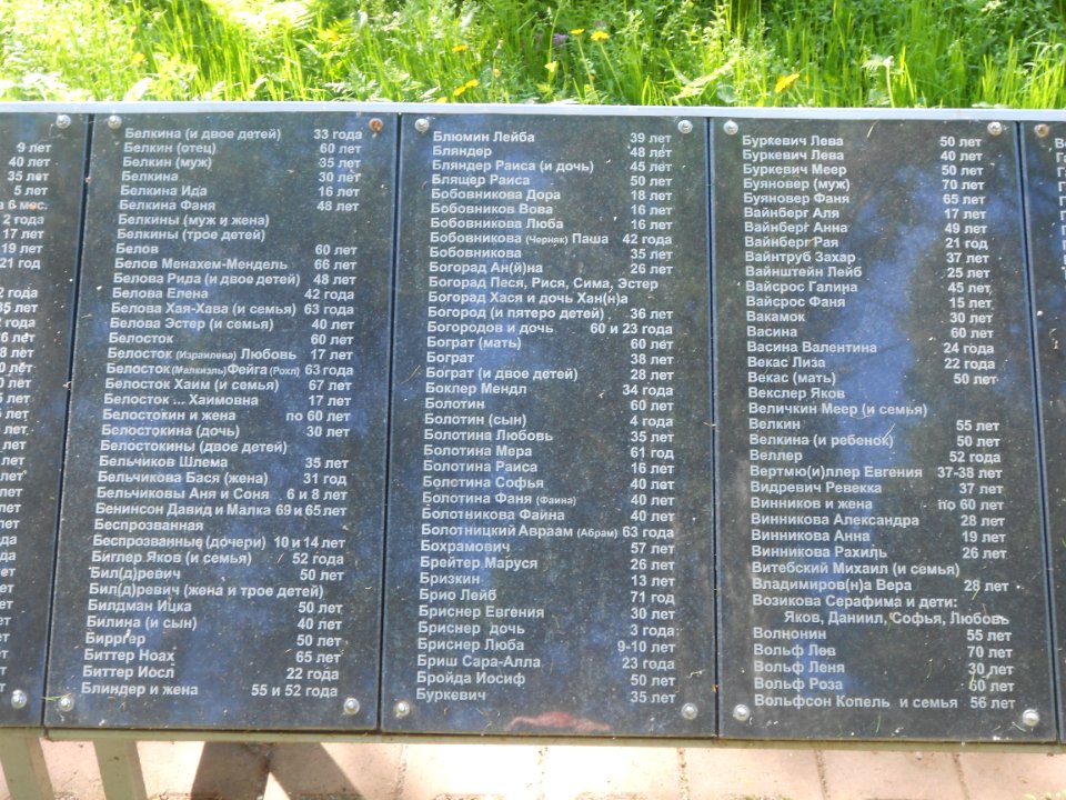 Mass grave 3000 in Vyazovenka - 05