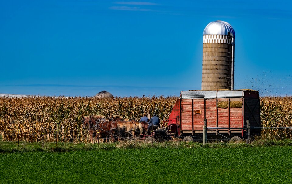 Farm agriculture silo photo