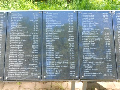 Mass grave 3000 in Vyazovenka - 11