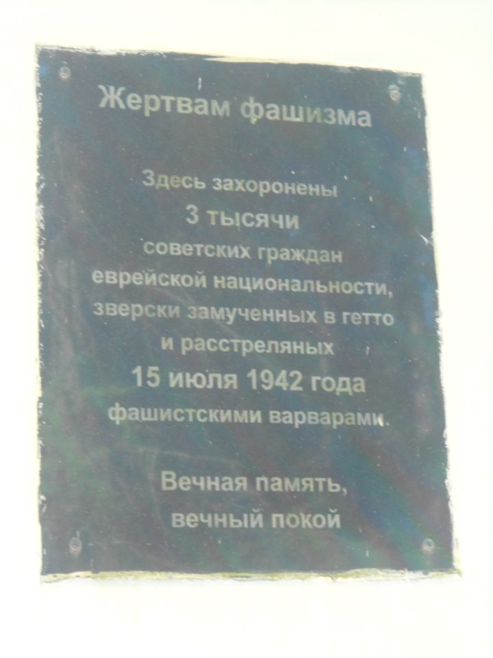 Mass grave 3000 in Vyazovenka - 02