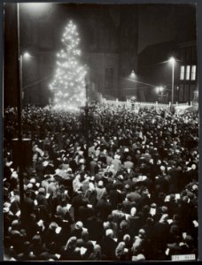 Massale volkskerstzang op het Binnenhof te Den Haag, Bestanddeelnr 119-0643