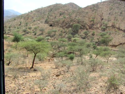 Massawa-Asmara line 04